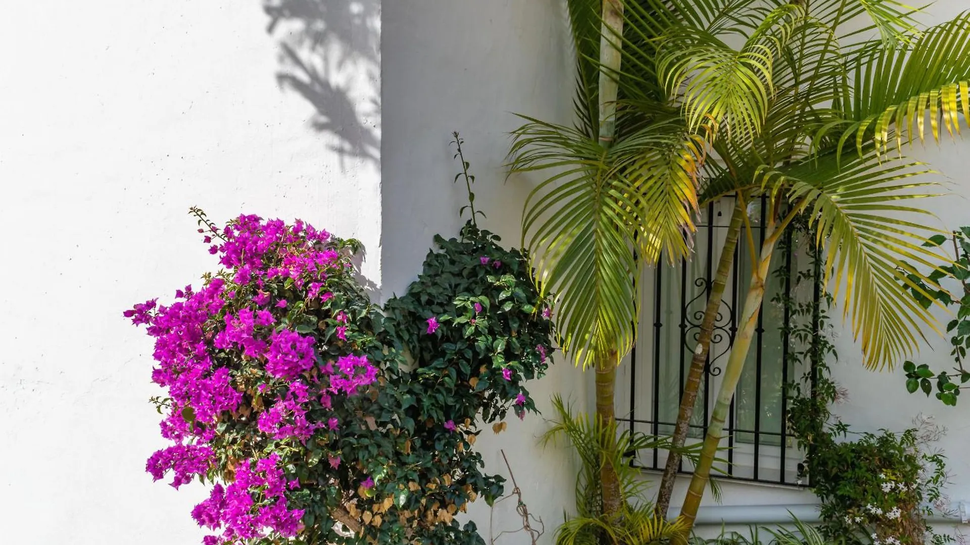 Las Palmas 2A Oasis Properties Nerja 0*,  Spagna